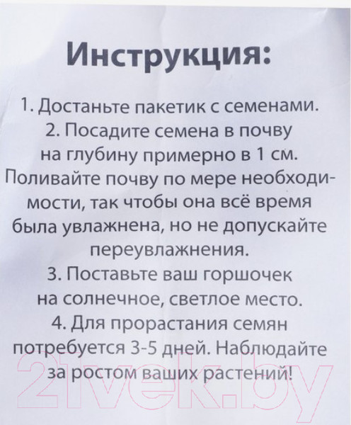 Изображение товара Набор для выращивания растений Эврики Выращиваем травку / 6911657 (зайка)