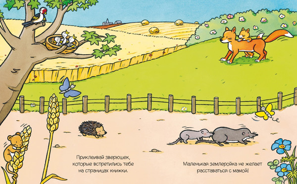 Изображение товара Развивающая книга Махаон Животные с наклейками, мягкая обложка (Белино Натали)