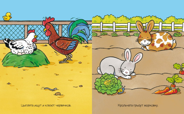 Изображение товара Развивающая книга Махаон На ферме с наклейками, мягкая обложка (Мишле Сильви)