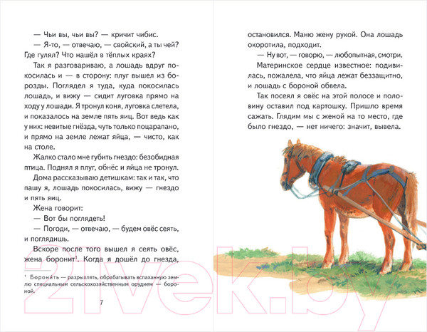 Изображение товара Книга Эксмо Рассказы о природе (Пришвин М.)
