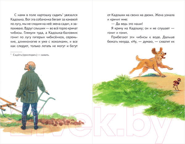 Изображение товара Книга Эксмо Рассказы о природе (Пришвин М.)