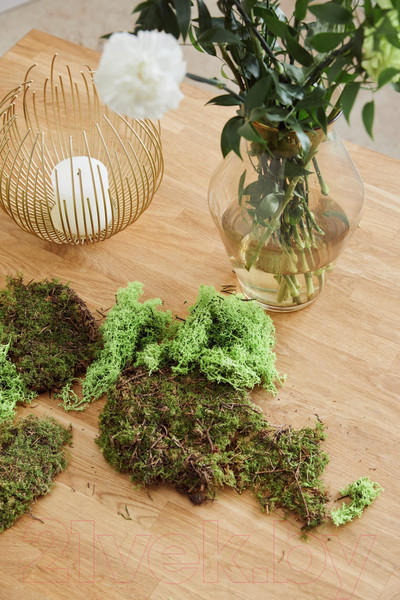 Изображение товара Журнальный столик Dipriz Detlef Д.7411-03 (дуб масло)