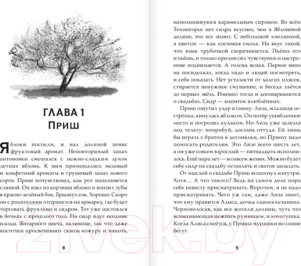 Изображение товара Книга АСТ Темногорье 2. Яблоневая долина (Кутузова Л.В.)