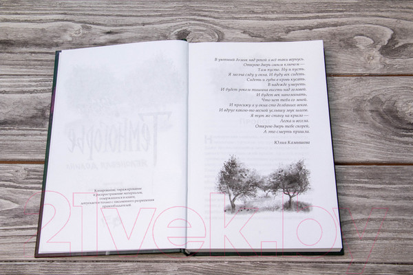 Изображение товара Книга АСТ Темногорье 2. Яблоневая долина (Кутузова Л.В.)