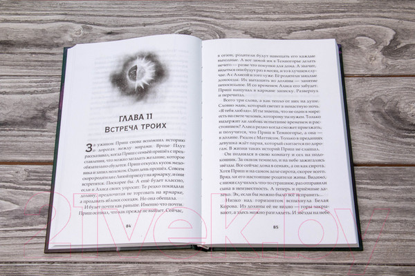 Изображение товара Книга АСТ Темногорье 2. Яблоневая долина (Кутузова Л.В.)