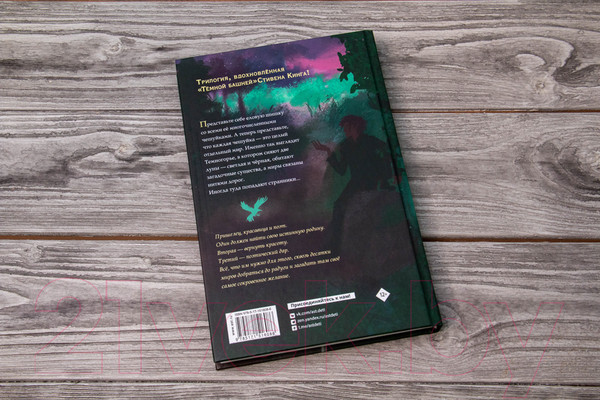 Изображение товара Книга АСТ Темногорье 2. Яблоневая долина (Кутузова Л.В.)