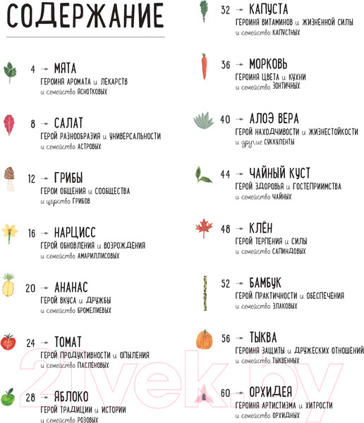 Изображение товара Энциклопедия АСТ Растения (Рейес Р., Медоуз С.)