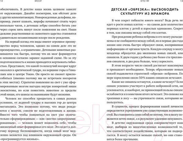 Изображение товара Книга КоЛибри Мозг. Ваша личная история (Иглмен Д.)
