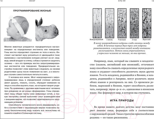 Изображение товара Книга КоЛибри Мозг. Ваша личная история (Иглмен Д.)