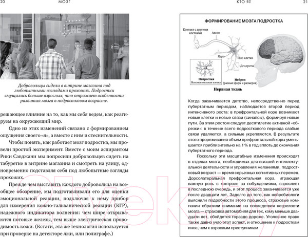 Изображение товара Книга КоЛибри Мозг. Ваша личная история (Иглмен Д.)