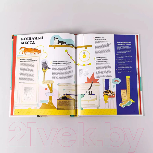 Изображение товара Энциклопедия Альпина Секреты кошек. Как понять свою кошку и подружиться с ней (Рауш С.)