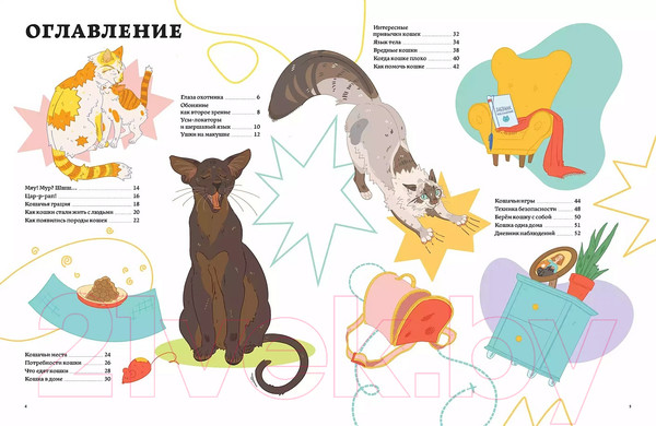 Изображение товара Энциклопедия Альпина Секреты кошек. Как понять свою кошку и подружиться с ней (Рауш С.)