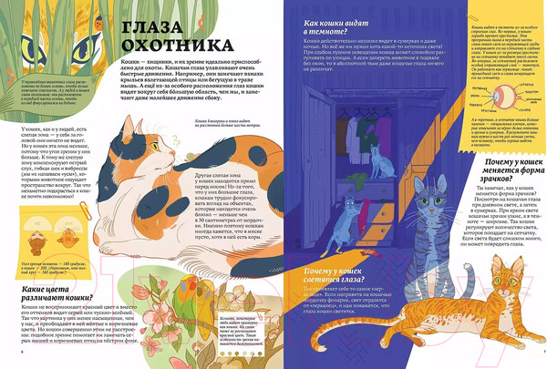 Изображение товара Энциклопедия Альпина Секреты кошек. Как понять свою кошку и подружиться с ней (Рауш С.)