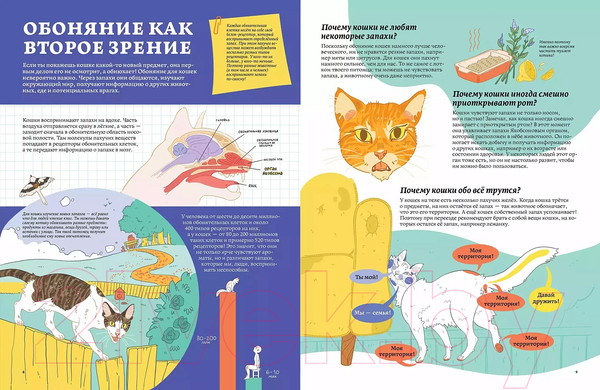 Изображение товара Энциклопедия Альпина Секреты кошек. Как понять свою кошку и подружиться с ней (Рауш С.)