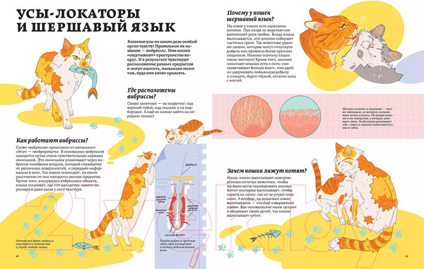 Изображение товара Энциклопедия Альпина Секреты кошек. Как понять свою кошку и подружиться с ней (Рауш С.)