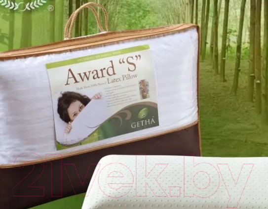Изображение товара Подушка для сна Getha Award S (62x37x14)
