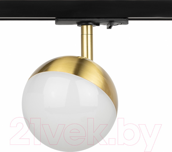 Изображение товара Трековый светильник ЭРА TR42-GX53 BS / Б0054180 (латунь)