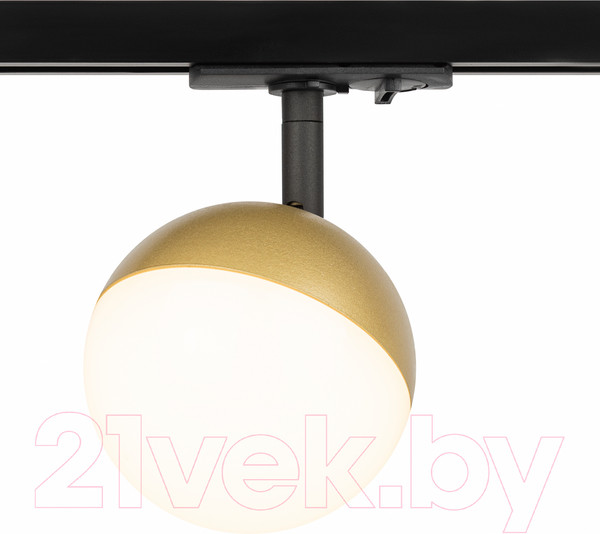 Изображение товара Трековый светильник ЭРА TR42-GX53 MG / Б0054179 (матовое золото)