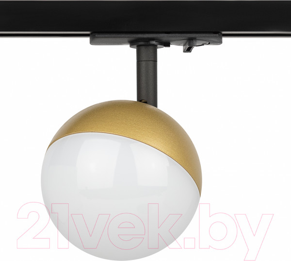 Изображение товара Трековый светильник ЭРА TR42-GX53 MG / Б0054179 (матовое золото)
