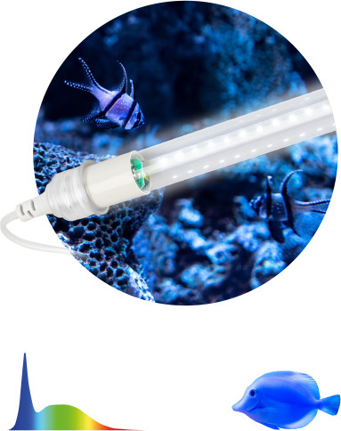 Изображение товара Светильник для аквариума ЭРА FITO-10W-Ra90-Т8-AQUA / Б0057417