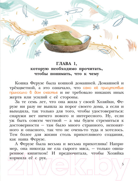 Изображение товара Книга АСТ Ферузе и компания (Григорьева Е.В.)
