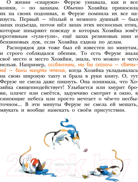 Изображение товара Книга АСТ Ферузе и компания (Григорьева Е.В.)