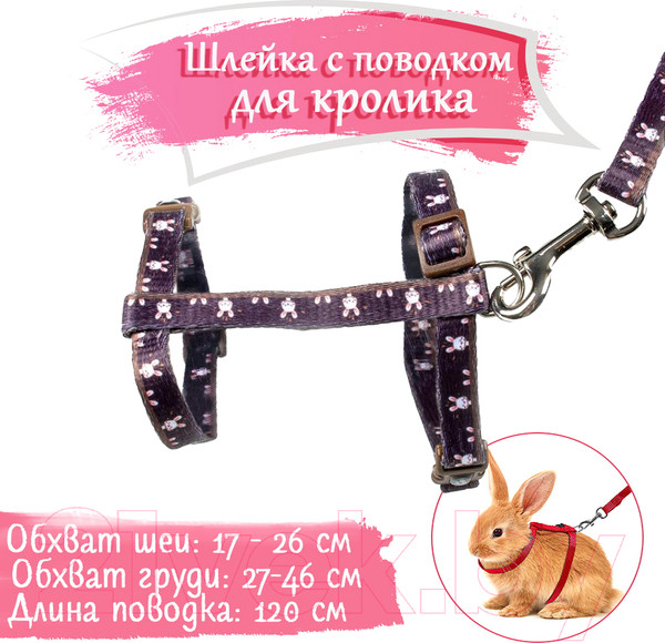 Изображение товара Шлея с поводком Duvo Plus Walking Set / 11926/brown (коричневый)