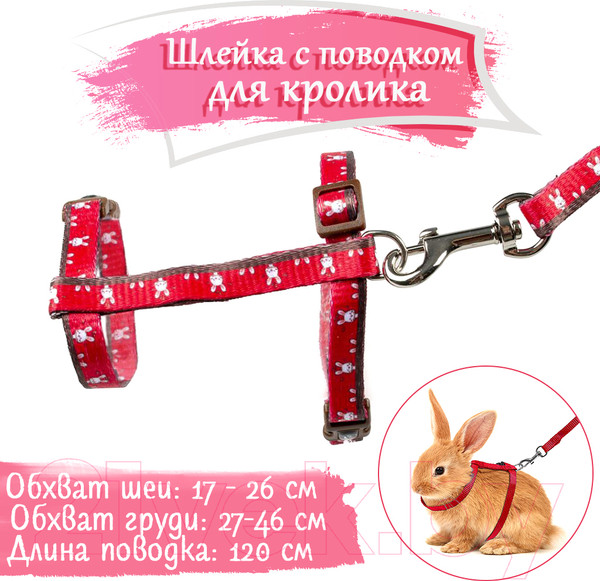 Изображение товара Шлея с поводком Duvo Plus Walking Set / 11926/red (красный)