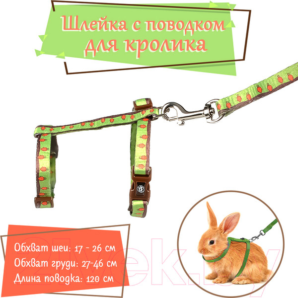 Изображение товара Шлея с поводком Duvo Plus Морковки / 11927/green (зеленый)
