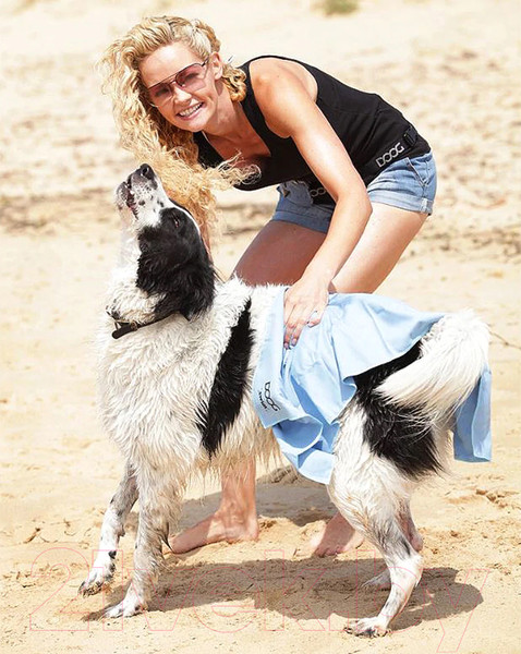 Изображение товара Полотенце для животных DOOG 90x40 / ST01 (голубой)