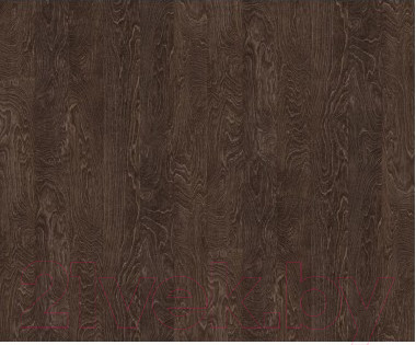 Изображение товара Обеденный стол СВД Юнио 100x60 / 009.Д3.Х (береза 261)