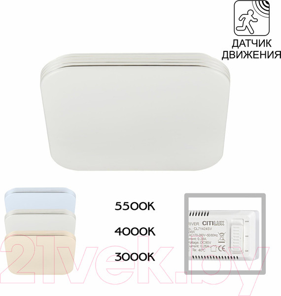 Изображение товара Потолочный светильник Citilux Симпла CL714K24SV