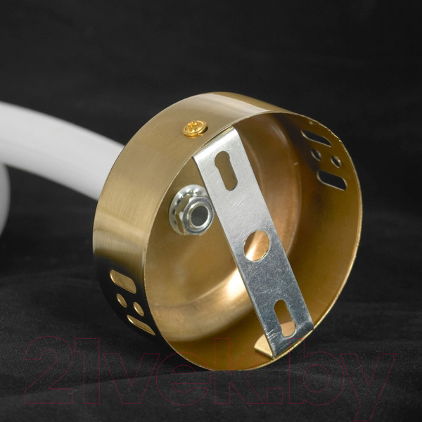 Изображение товара Потолочный светильник Lussole LSP-7010