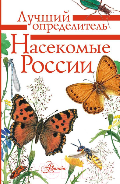 Изображение товара Энциклопедия АСТ Насекомые России (Гомыранов И., Полевод В.)