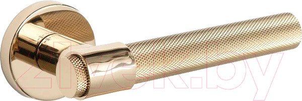 Изображение товара Ручка дверная System Axel-T GL (глянцевое золото)
