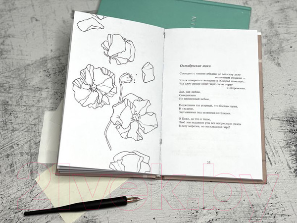 Изображение товара Книга Эксмо Ариэль (Плат С.)