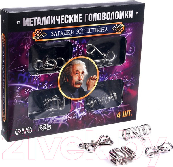 Изображение товара Набор головоломок Puzzle Загадки Эйнштейна Металлическая / 2528228 (4шт)