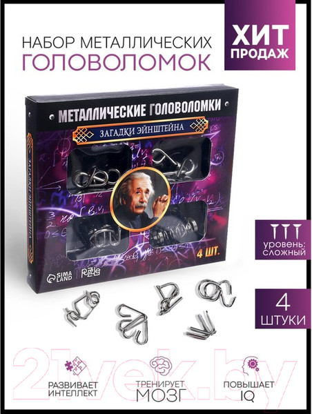 Изображение товара Набор головоломок Puzzle Загадки Эйнштейна Металлическая / 2528228 (4шт)