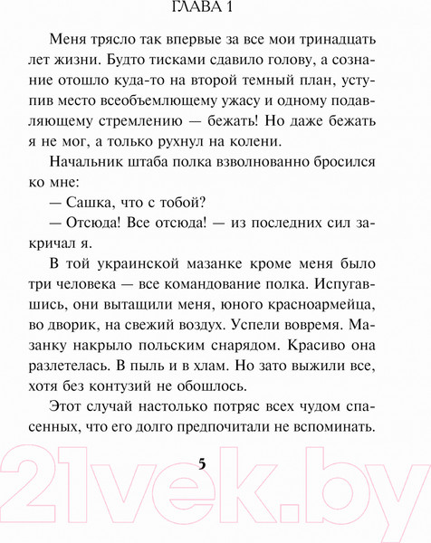 Изображение товара Книга Эксмо Черный треугольник (Зверев С.И.)