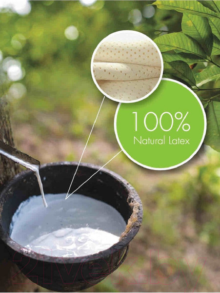 Изображение товара Матрас в кроватку Getha 60x120x10