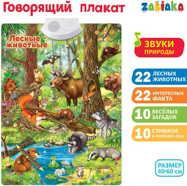 Изображение товара Развивающий плакат Zabiaka Лесные животные / 3524462