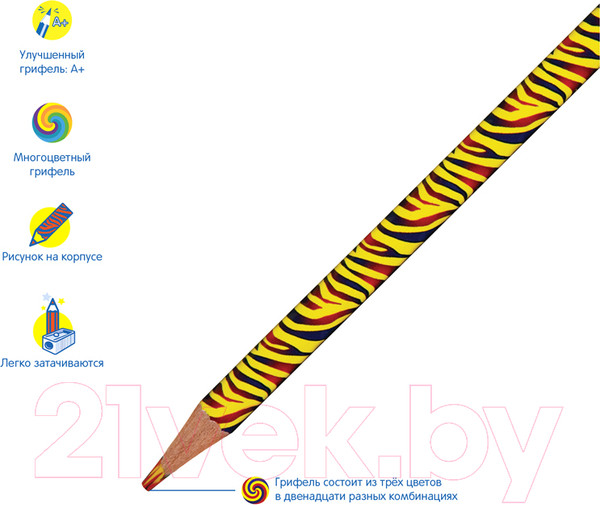 Изображение товара Набор цветных карандашей Мульти-пульти Енот и радуга / CP_33719 (12цв)