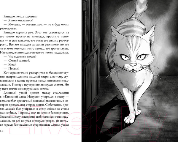 Изображение товара Книга Азбука Кот, который любил книги (Нацукава С.)