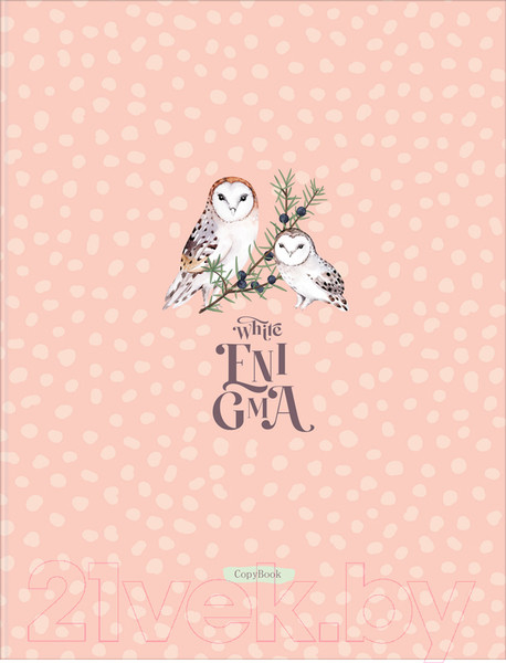 Изображение товара Тетрадь BG White Enigma / ТТ5к120_лм 11358 (120л)