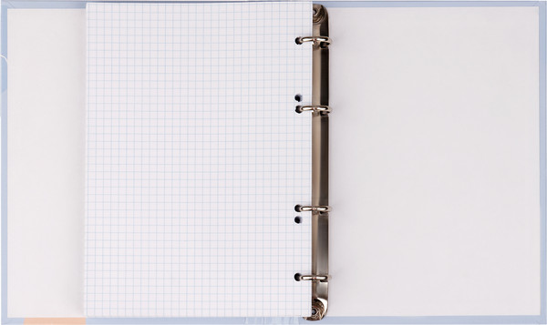 Изображение товара Тетрадь ArtSpace Стиль. Perfect / ТК120_45960 (120л)