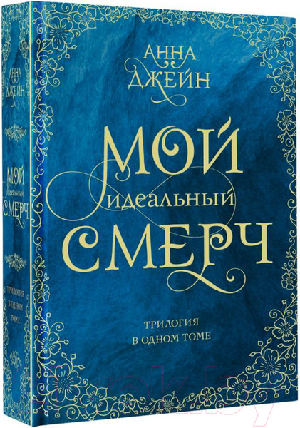 Изображение товара Книга АСТ Мой идеальный смерч / 9785171451295 (Джейн А.)
