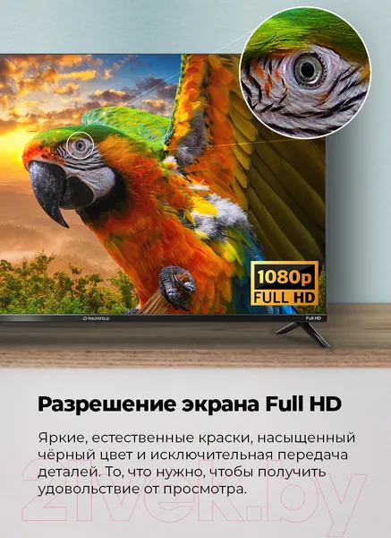 Изображение товара Телевизор Maunfeld MLT43FSX02