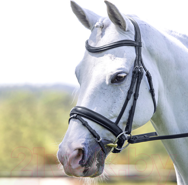 Изображение товара Оголовье для лошади Shires Velociti FULL / 5073/BLACK/FULL (черный)