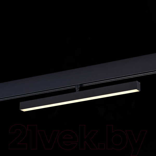 Изображение товара Трековый светильник ST Luce ST802.436.12 (черный)