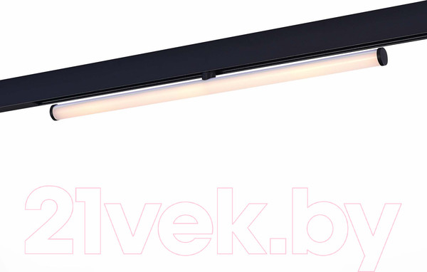 Изображение товара Трековый светильник ST Luce ST803.446.10 (черный)